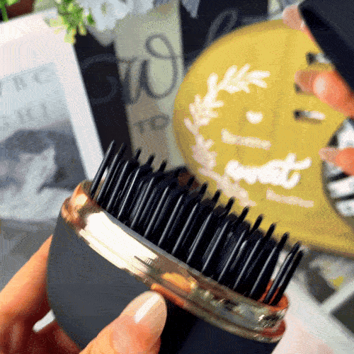 Perie îndreptat părul portabilă